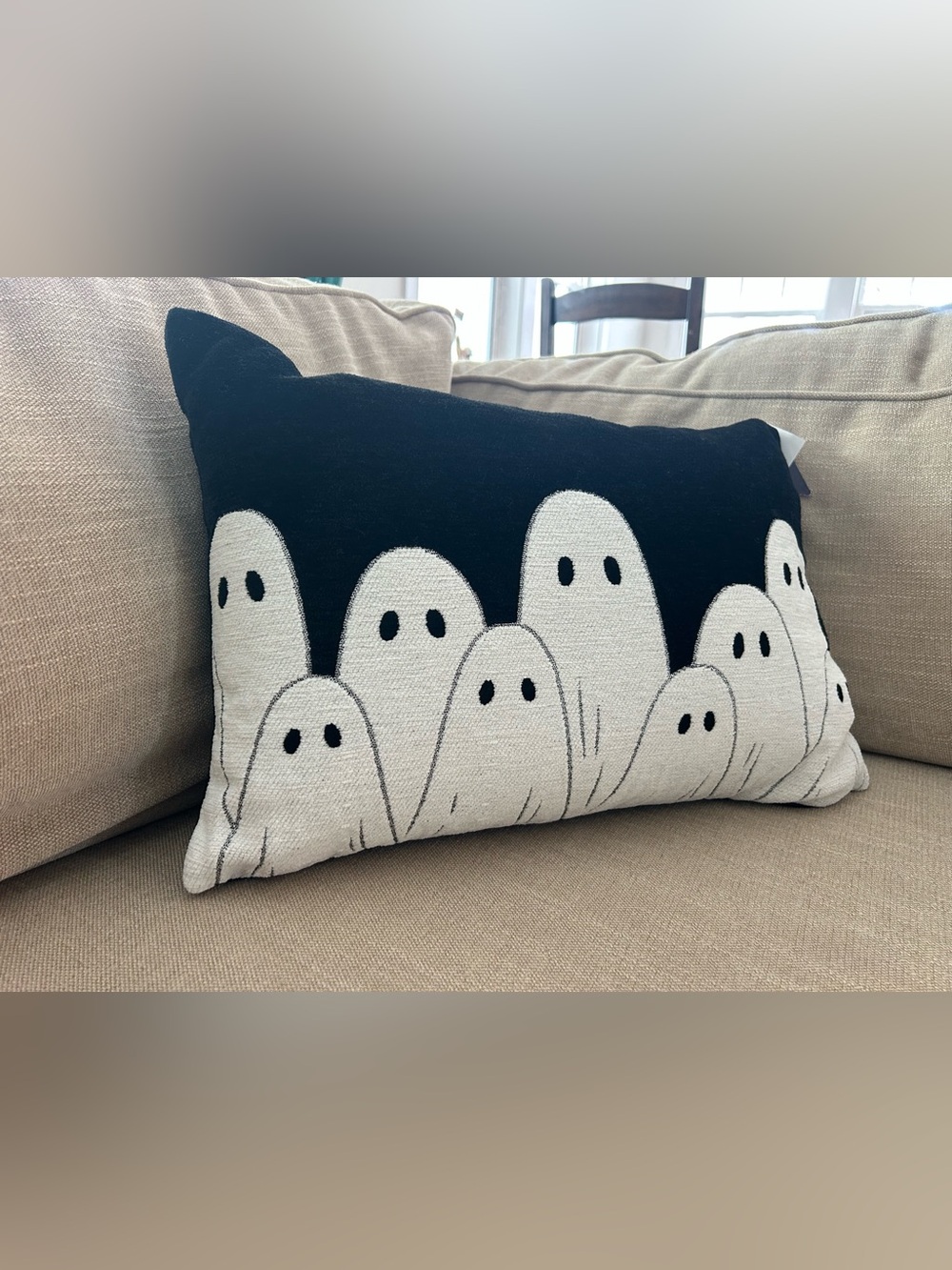 “New” Nicole Miller Black with Ghost Motif Accent Pillow
